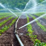 Irrigation
